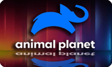 ANIMAL PLANET