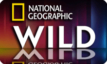 NAT GEO WILD